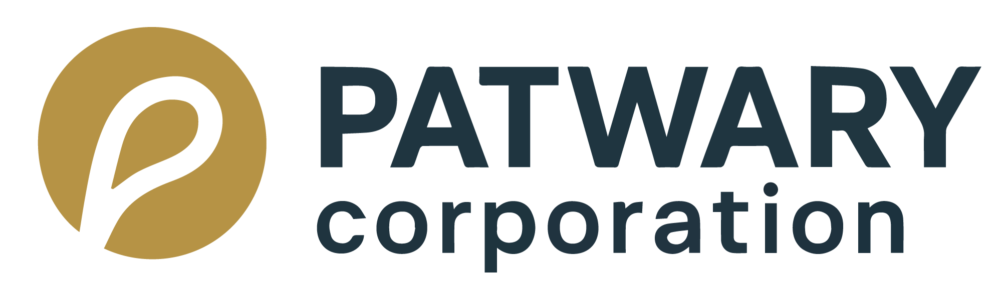 Patwary Corporation